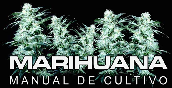 marihuana - manual de cultivo